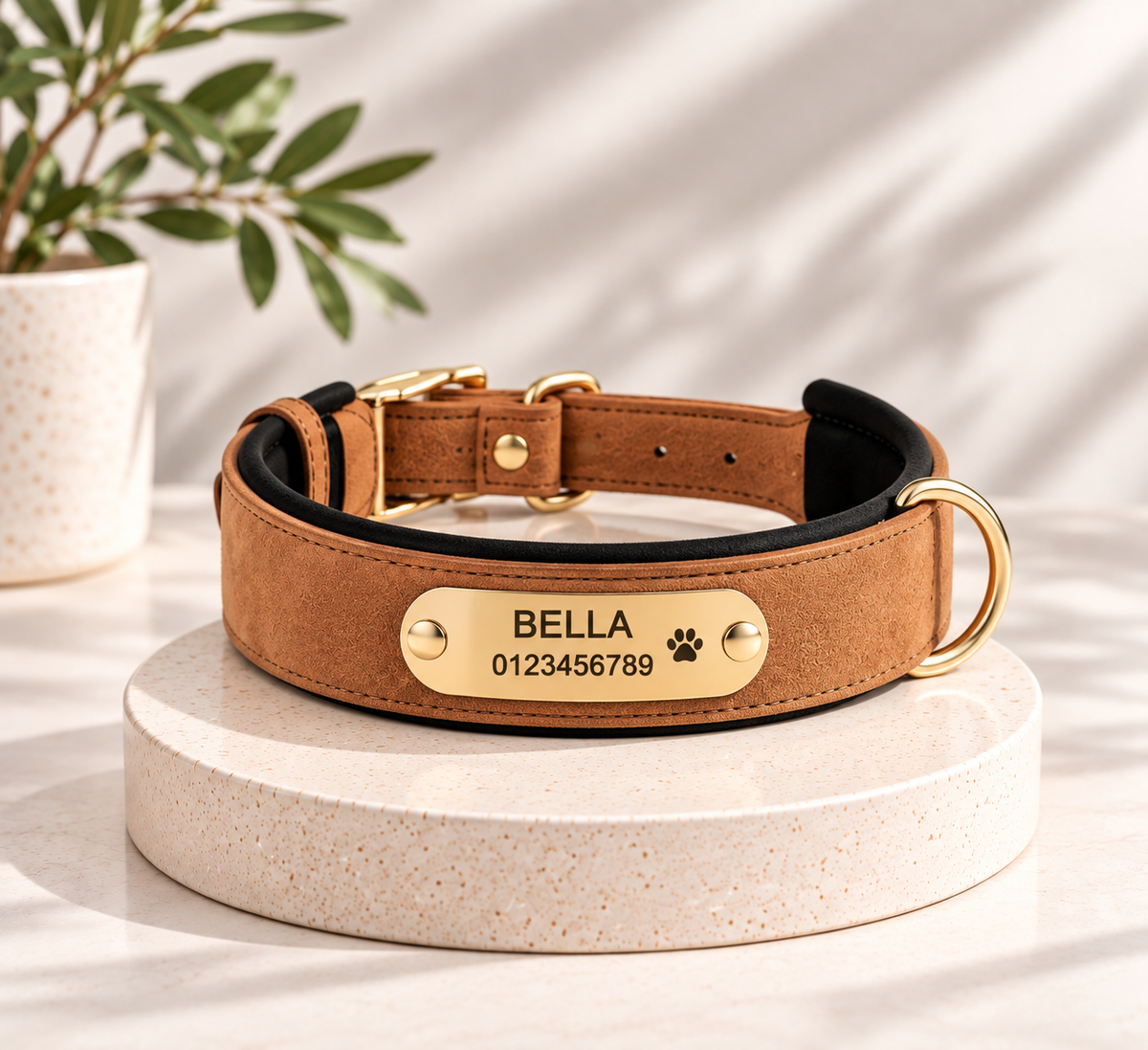 Collier pour chien avec plaque personnalisée – texte au choix